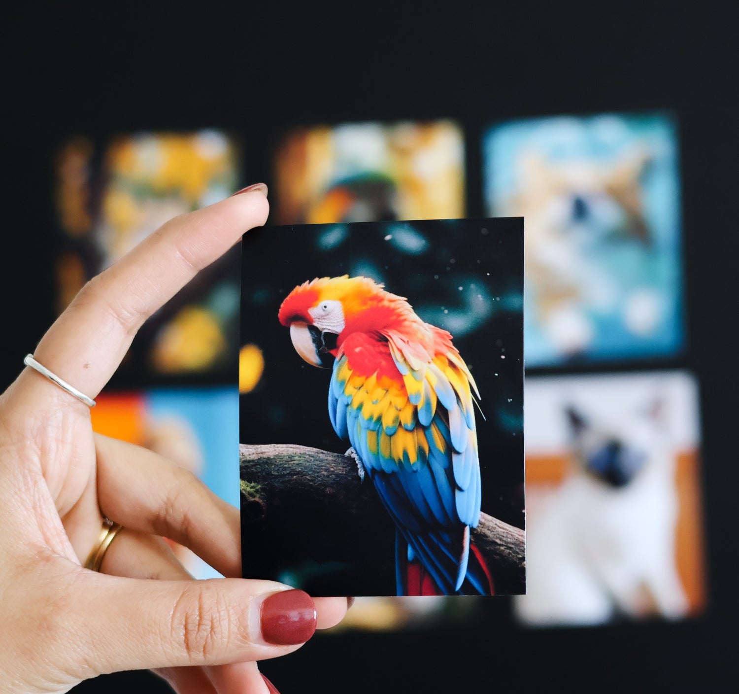 Custom Borderless Photo Magnets
