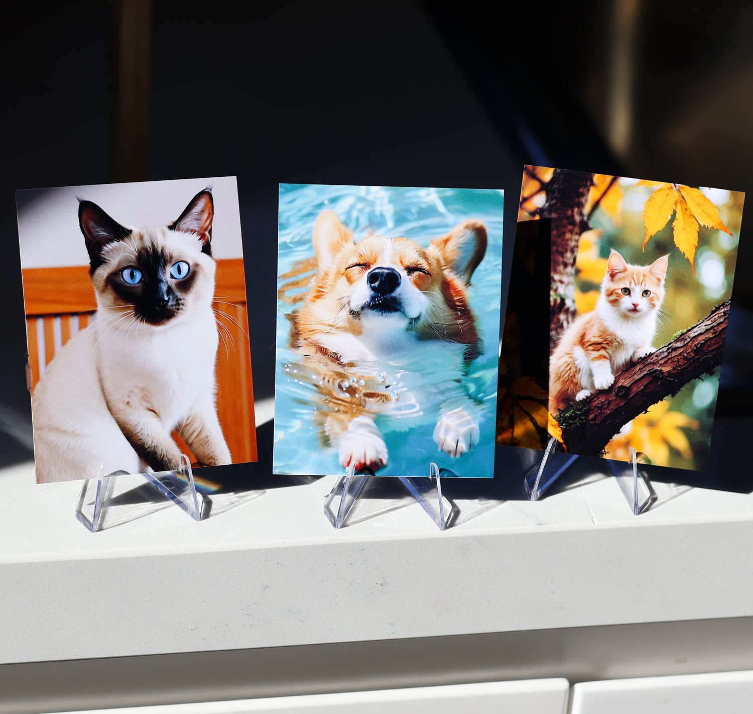 Custom Borderless Photo Magnets